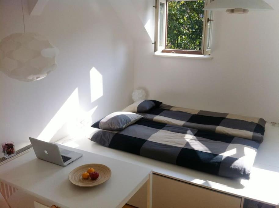The Cute, Sunny Apartment In The Center +P ลูบลิยานา ภายนอก รูปภาพ