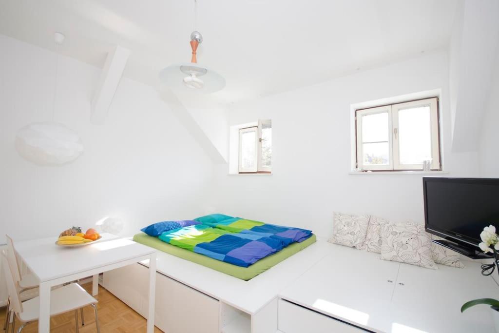 The Cute, Sunny Apartment In The Center +P ลูบลิยานา ภายนอก รูปภาพ