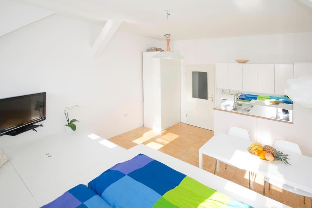 The Cute, Sunny Apartment In The Center +P ลูบลิยานา ภายนอก รูปภาพ