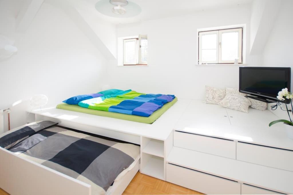 The Cute, Sunny Apartment In The Center +P ลูบลิยานา ภายนอก รูปภาพ